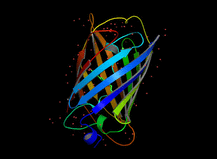 Konkurs Biotechnologiczny